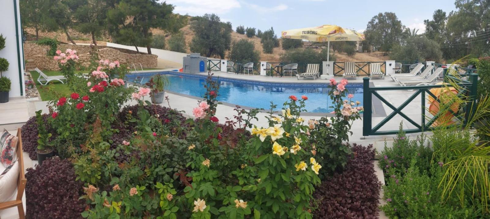 Dervise Mehmet Guest House Lefka  外观 照片